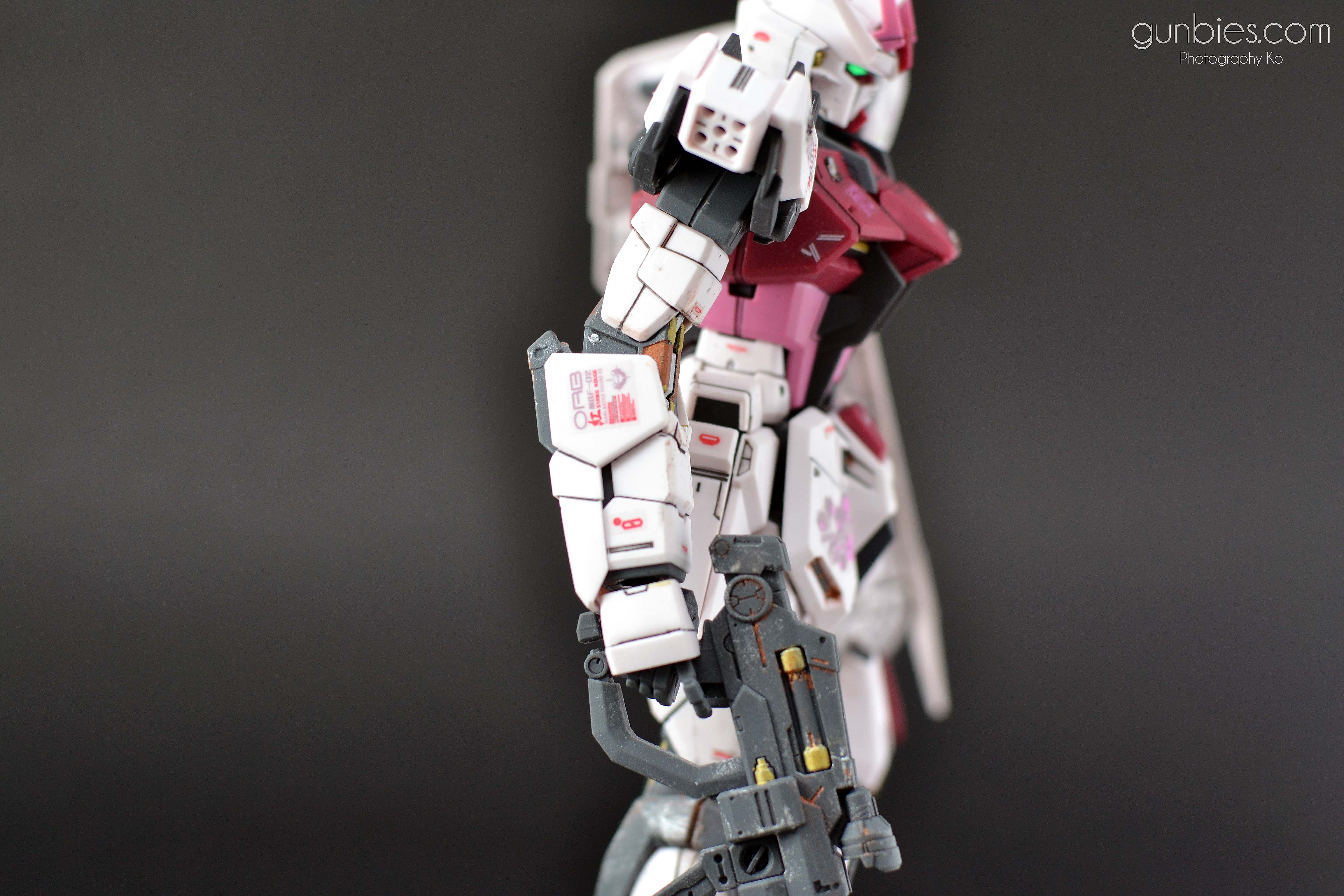 DSC_3152 – Gunbies