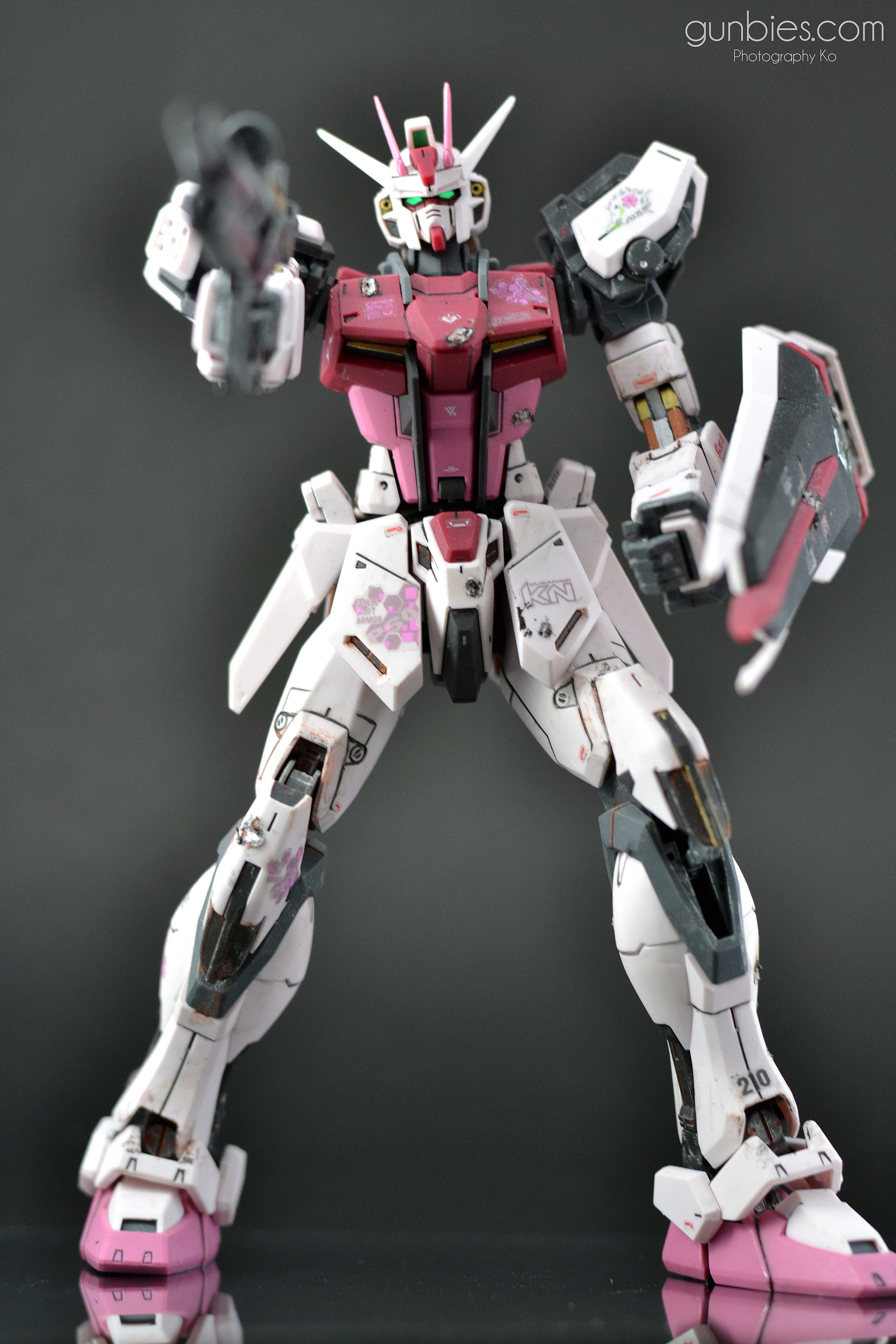 DSC_3176 – Gunbies