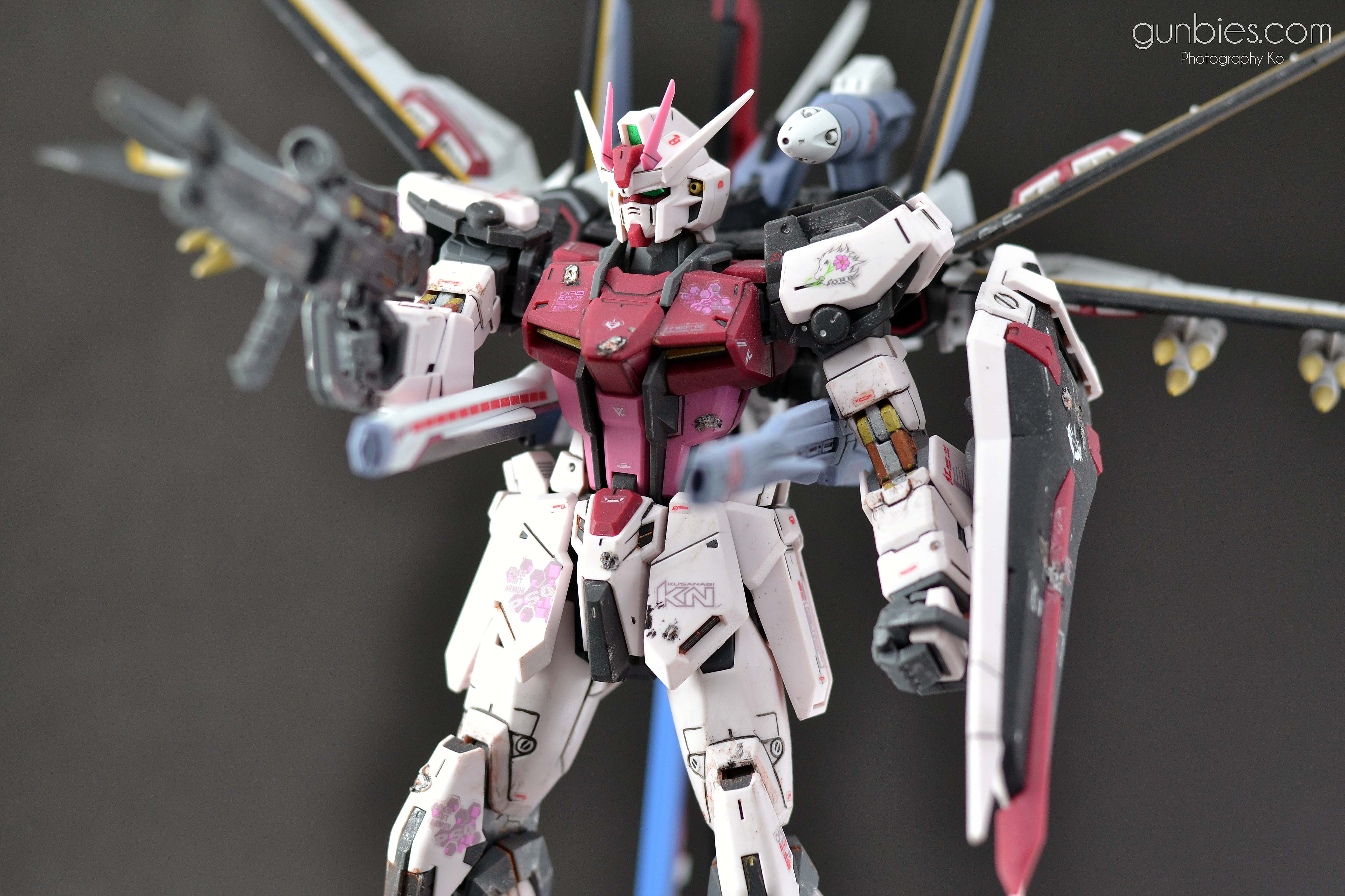 DSC_3223 – Gunbies