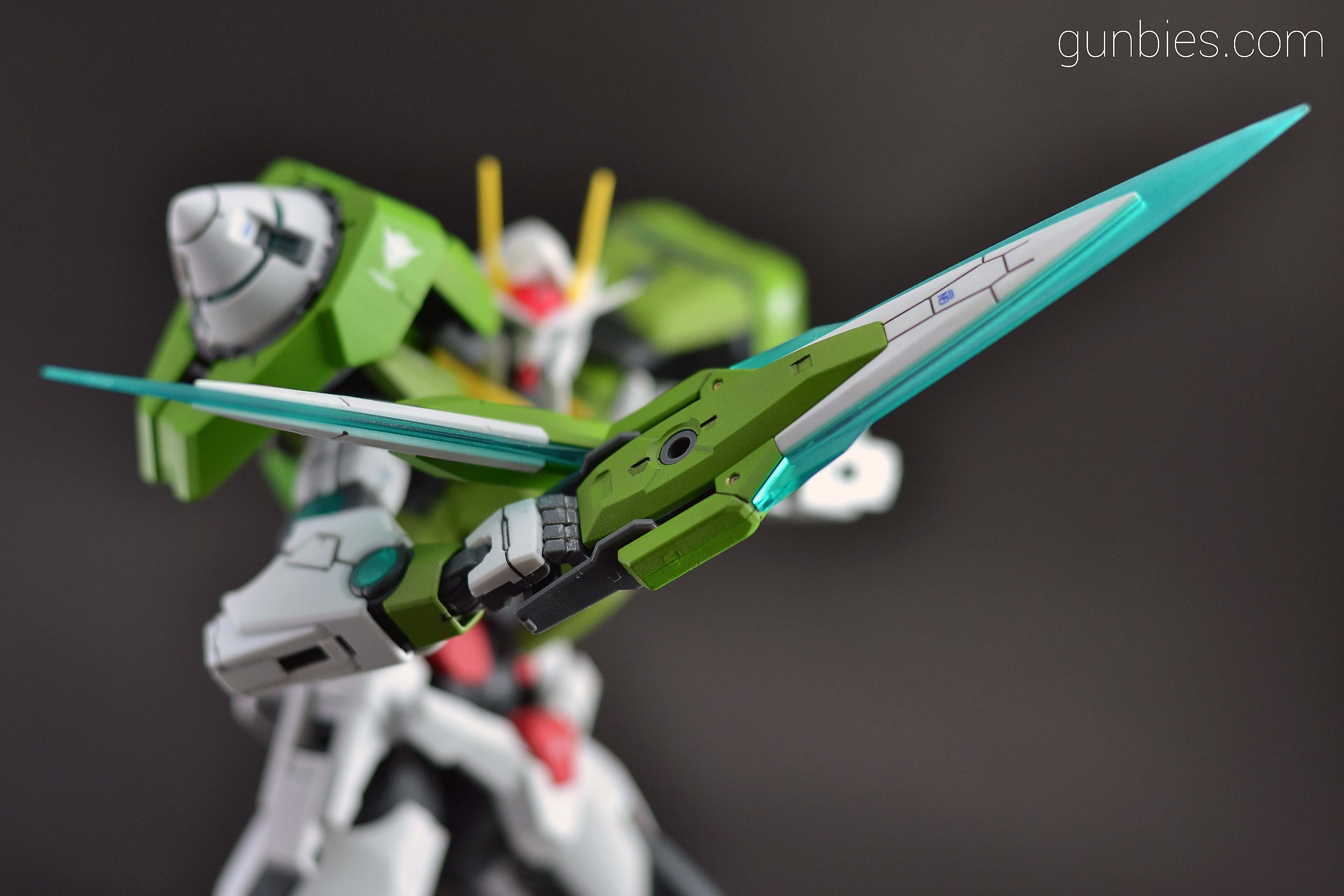 DSC_4060 – Gunbies